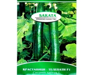 краставици Телепати F1